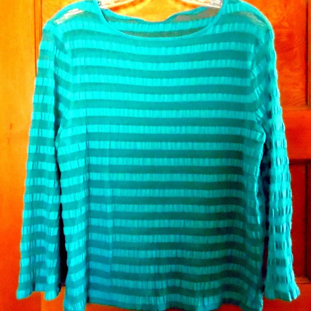 Stretch Long Sleeve Turquoise Top